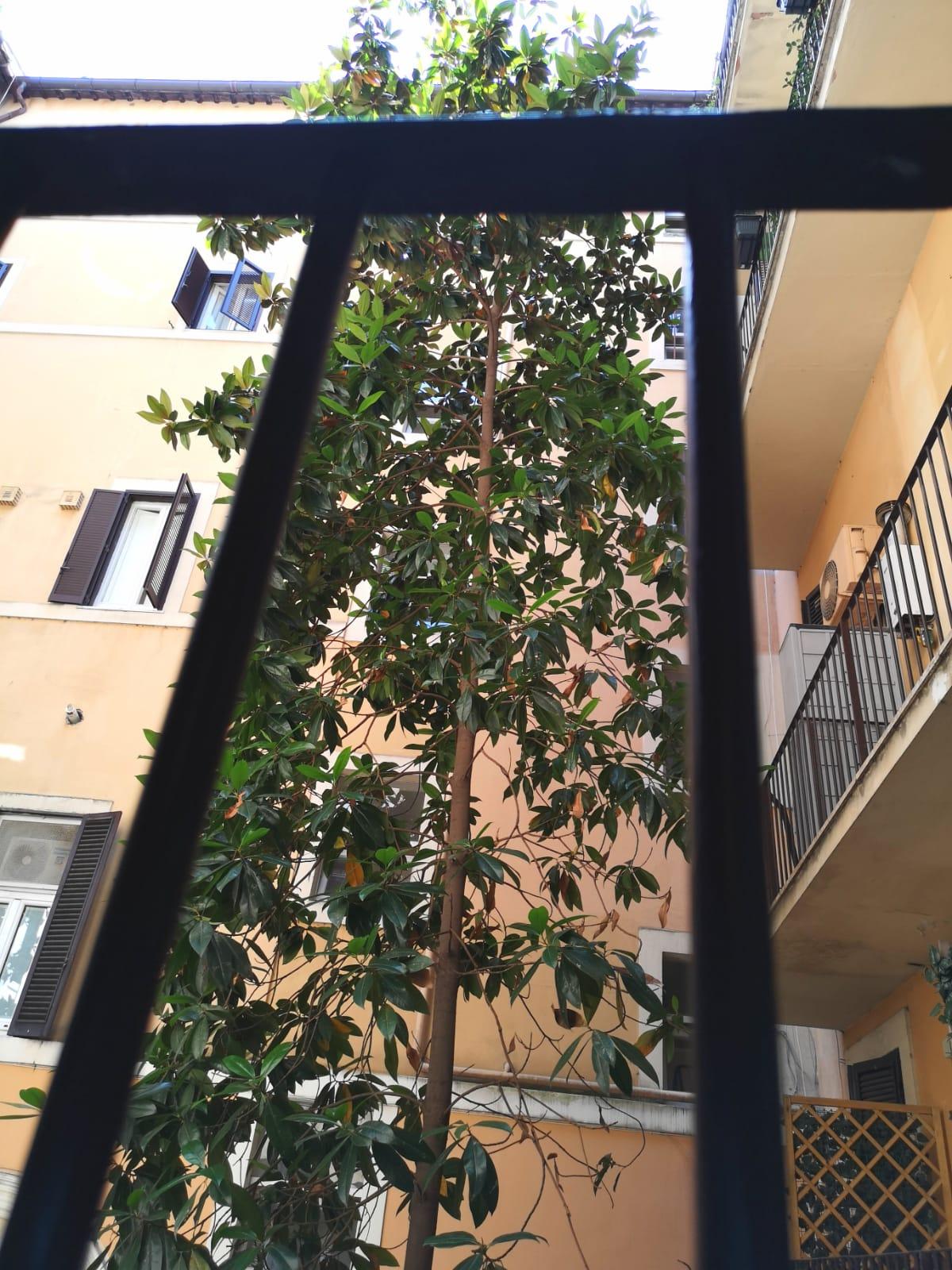 万神殿杜尔奇斯酒店 罗马 外观 照片